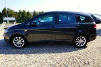 Seat Altea, 2010 - 1