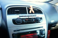 Seat Altea, 2010 - 28